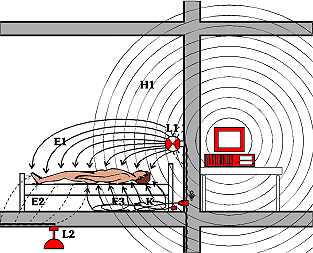 Elektro-Biologisches Bauen